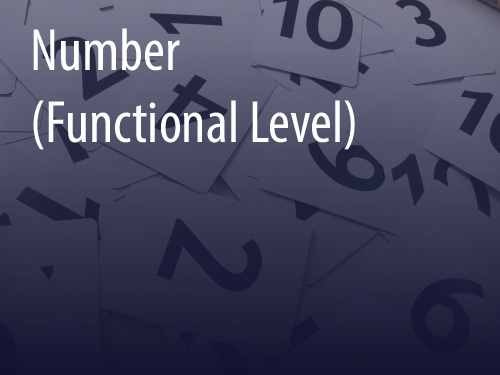 Number (Functional Level)