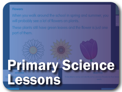 Primary Science Lessons