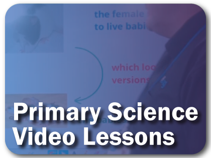 Primary Science Video Lessons